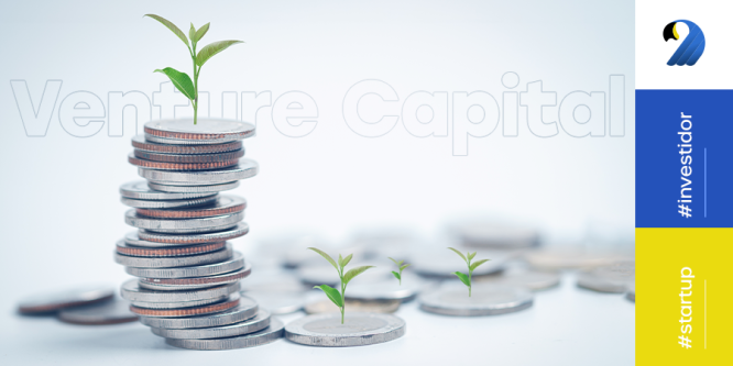 Venture capital: entenda como funciona esse mercado
