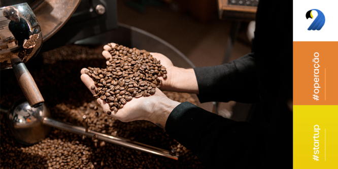 Arara Seed estreia em investimento coletivo em startups de agro com Veroo Cafés