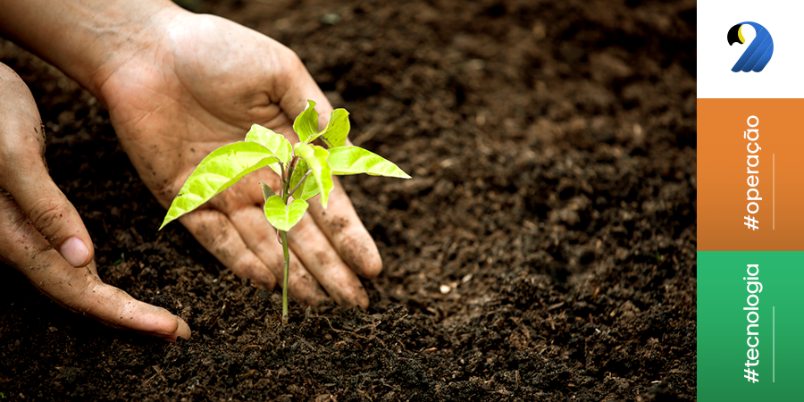 Agricultura regenerativa: cultivando um futuro sustentável no agro