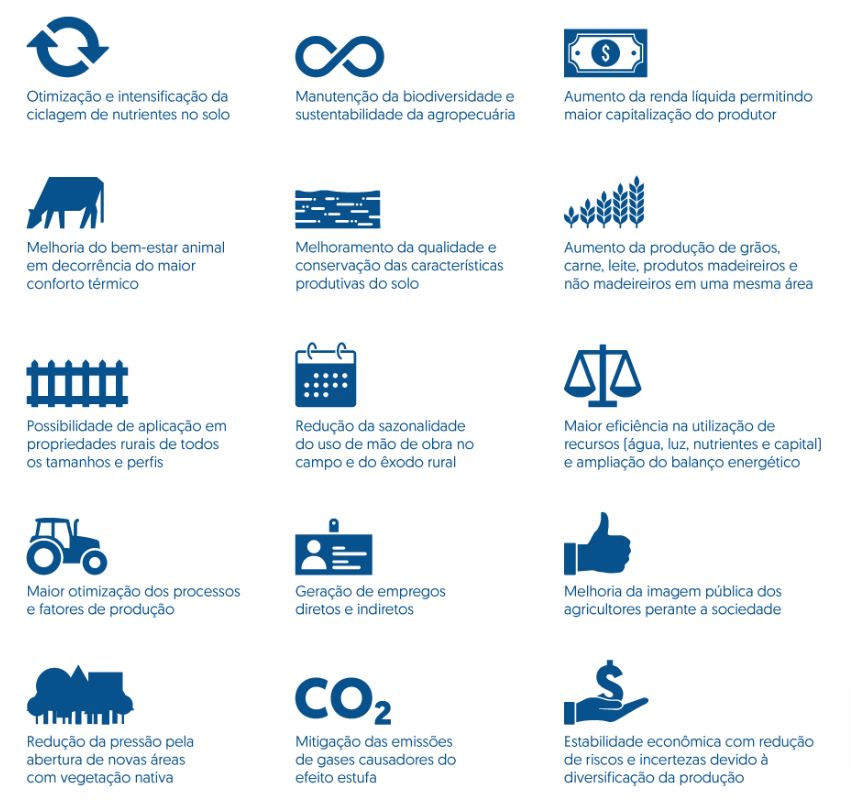 Benefícios do sistema agrossilvipastoril