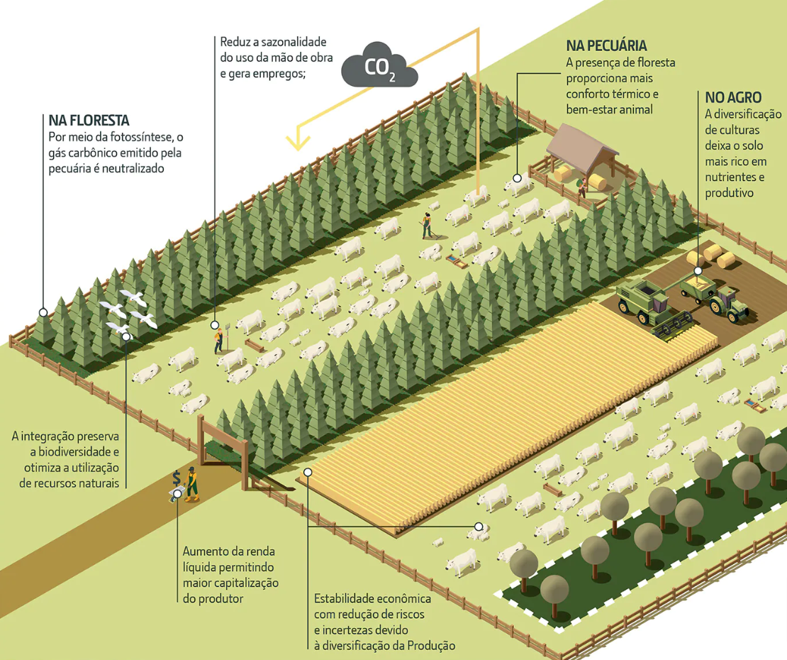 Integração Lavoura-Pecuária-Floresta (ILPF)