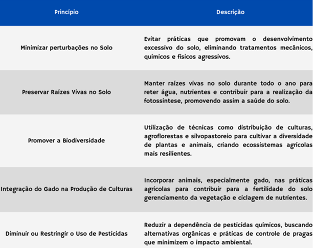 Os princípios básicos da agricultura regenerativa