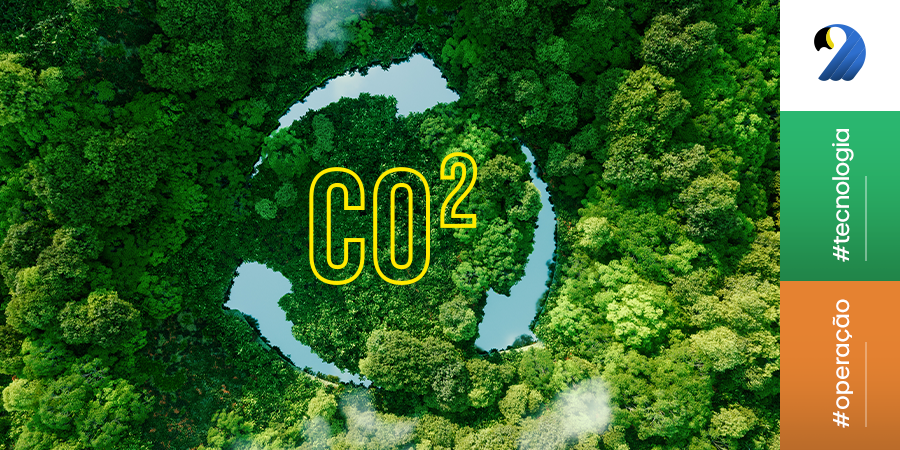 Mercado de carbono e os próximos passos da regulação no Brasil (compensação de gases de efeito estufa - GEE)