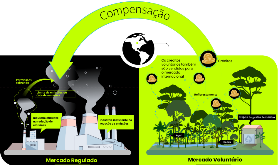 compensação mercado de carbono  - gases de efeito estufa, GEE