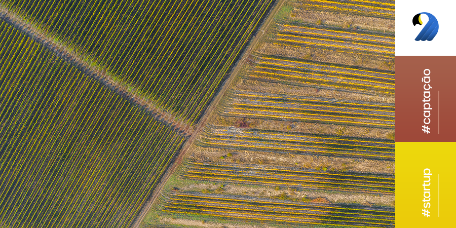 Conheça a BemAgro, agtech que está voando com ajuda da inteligência artificial e visão computacional