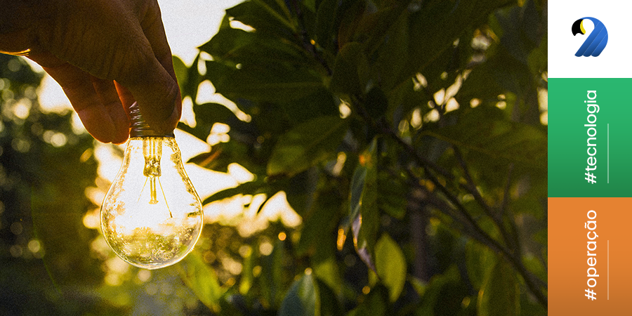 Bioenergia no Brasil: o combustível verde para a economia do amanhã