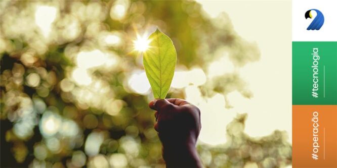 Opinião: Práticas para garantir um futuro mais sustentável