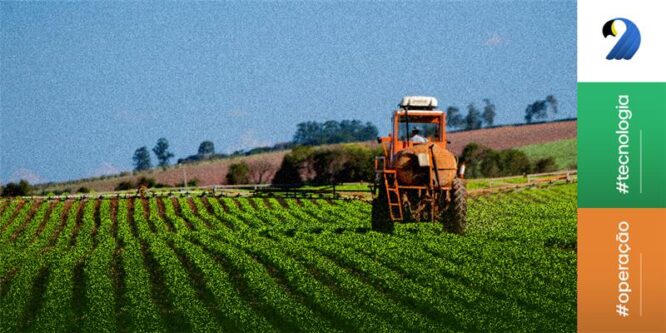 Balança Comercial do Agro Brasileiro em 2024