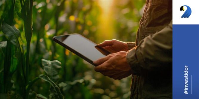 Agro e tech: panorama de investimentos em agtechs no Brasil em 2024