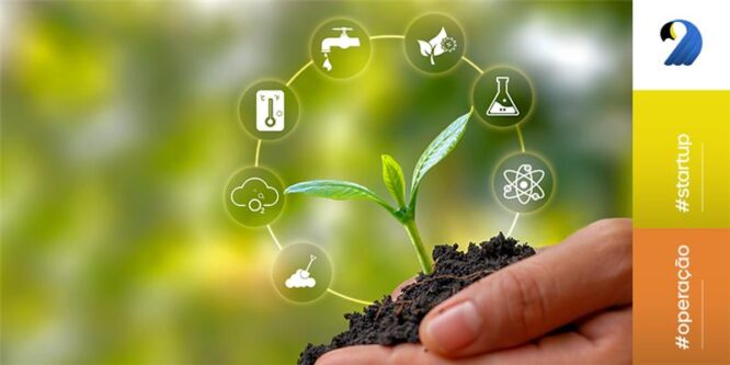 Salva.Digital: climatech que revoluciona a gestão ambiental e climática no agro indo além do óbvio